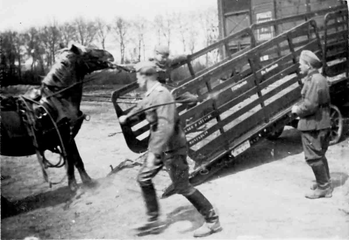 Donsbach Juni 1941 Verladung von Pferden auf Militärzug aus Frankreich (Bhf Auxonne)